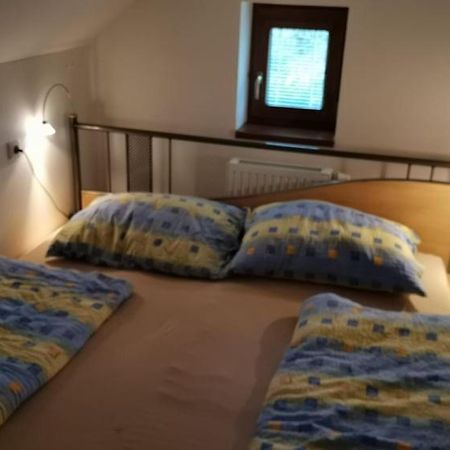 Apartman Damiko Lejlighed Chřibská Eksteriør billede