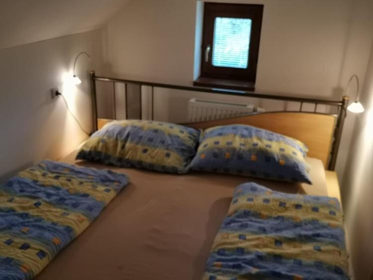 Apartman Damiko Lejlighed Chřibská Eksteriør billede