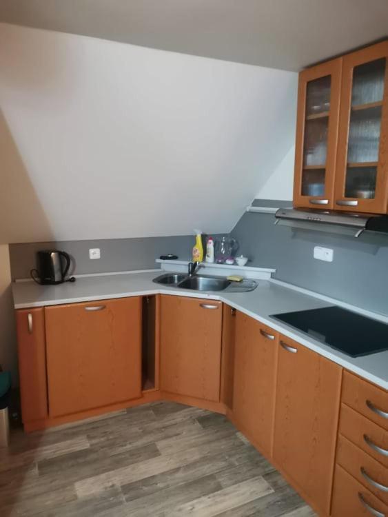 Apartman Damiko Lejlighed Chřibská Eksteriør billede